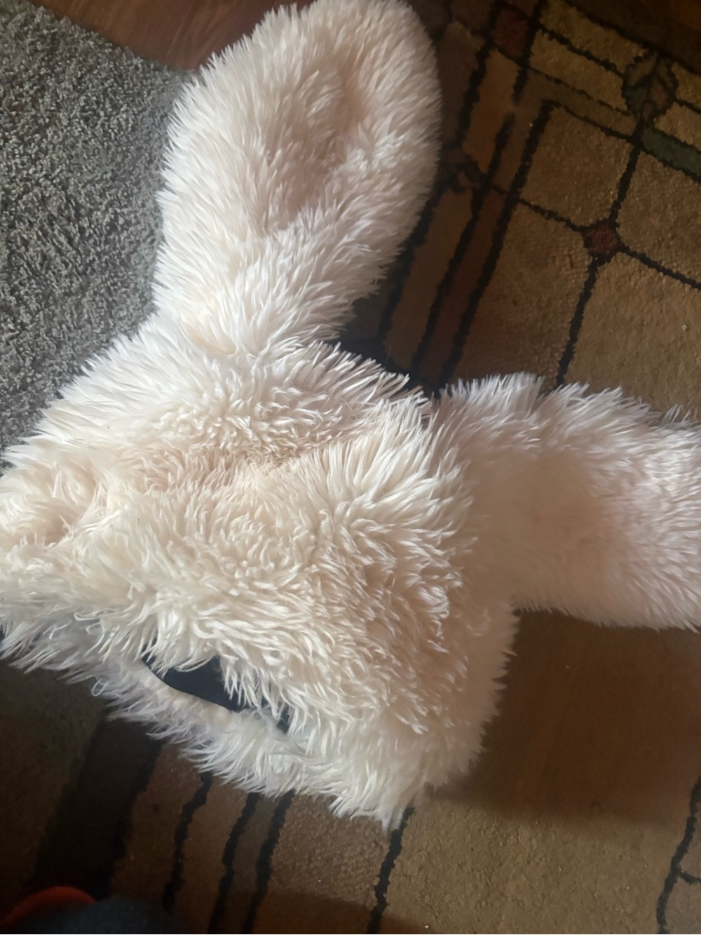 Plush Faux-Fur Cream Women's bunny hat Hoodie
